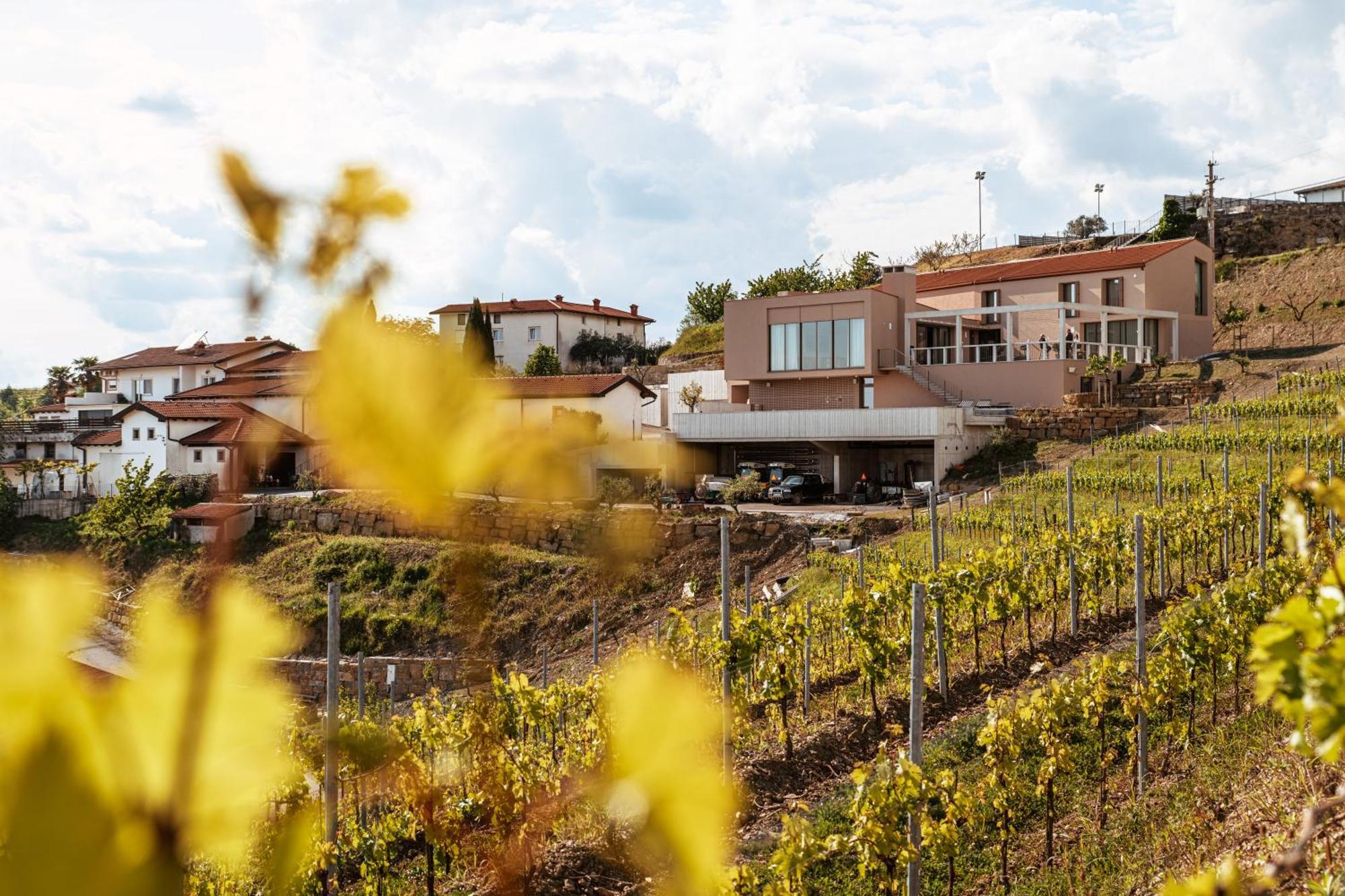 Posestvo Scurek Wine Bed & Breakfast Доброво Екстериор снимка