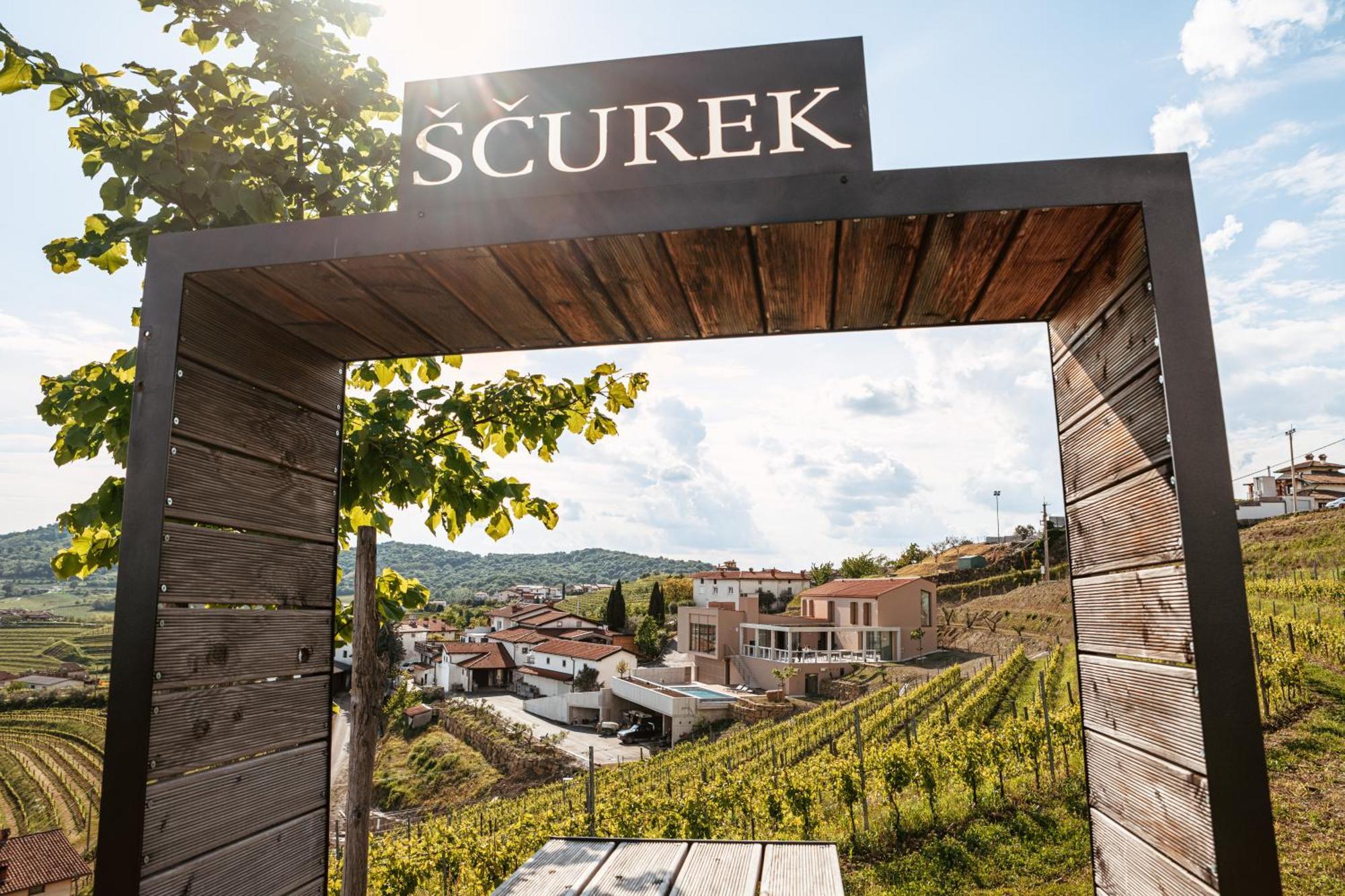 Posestvo Scurek Wine Bed & Breakfast Доброво Екстериор снимка