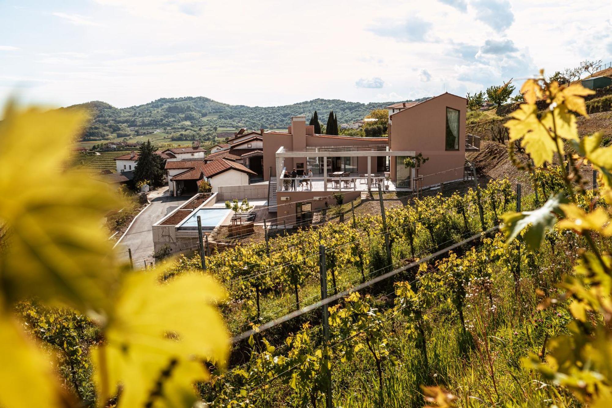 Posestvo Scurek Wine Bed & Breakfast Доброво Екстериор снимка